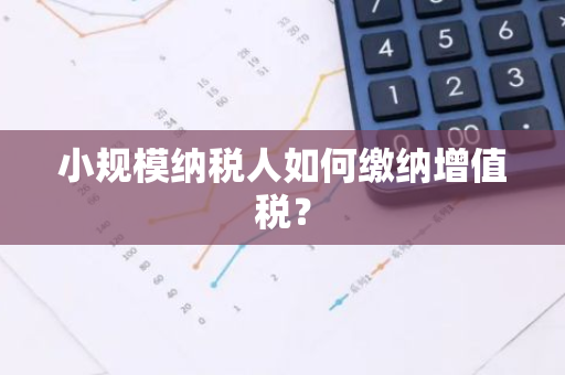 小规模纳税人如何缴纳增值税？