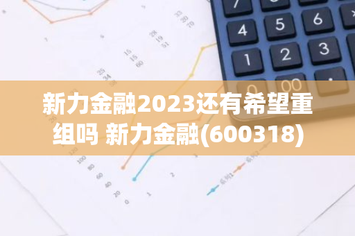 新力金融2023还有希望重组吗 新力金融(600318)