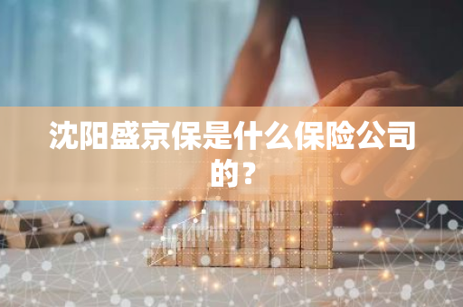 沈阳盛京保是什么保险公司的？