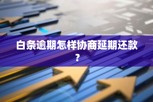 白条逾期怎样协商延期还款？