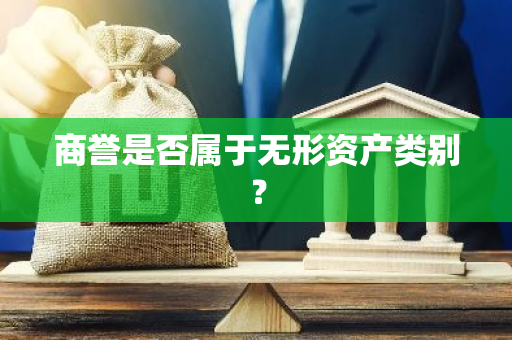 商誉是否属于无形资产类别？