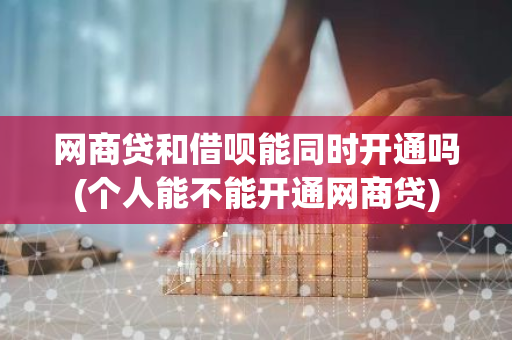 网商贷和借呗能同时开通吗(个人能不能开通网商贷)