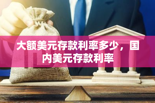 大额美元存款利率多少，国内美元存款利率