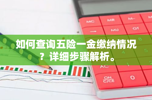 如何查询五险一金缴纳情况？详细步骤解析。