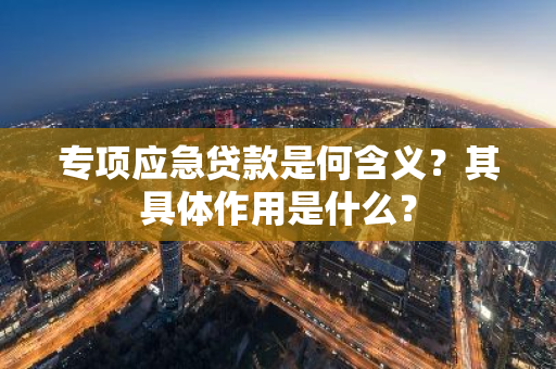 专项应急贷款是何含义？其具体作用是什么？