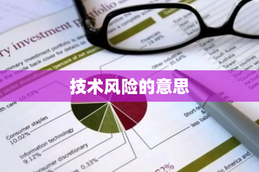 技术风险的意思