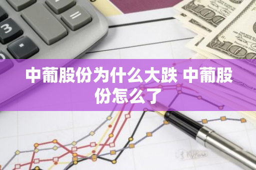 中葡股份为什么大跌 中葡股份怎么了
