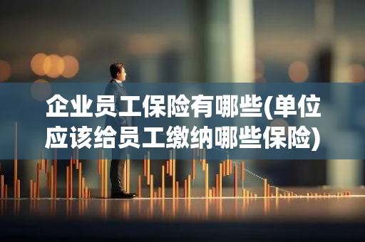 企业员工保险有哪些(单位应该给员工缴纳哪些保险)