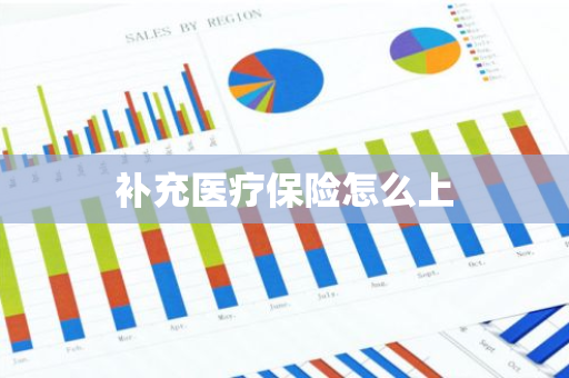 补充医疗保险怎么上