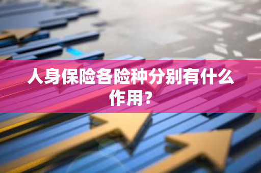 人身保险各险种分别有什么作用？