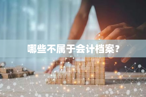 哪些不属于会计档案？