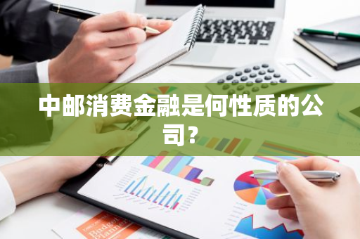 中邮消费金融是何性质的公司？