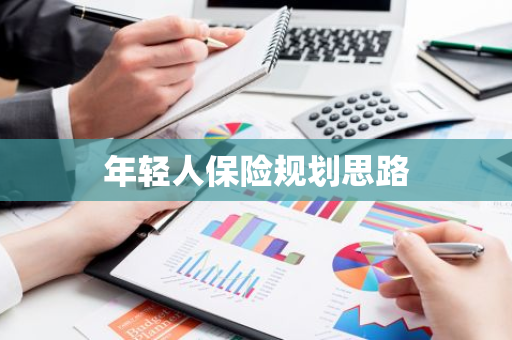 年轻人保险规划思路