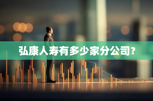 弘康人寿有多少家分公司？