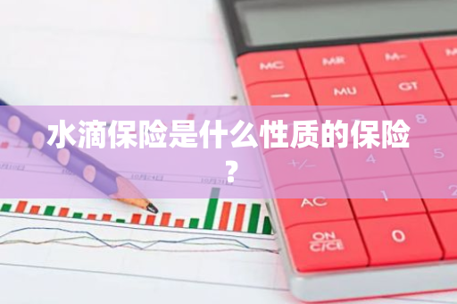 水滴保险是什么性质的保险？