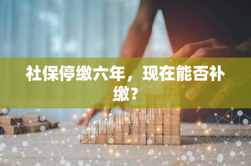 社保停缴六年，现在能否补缴？