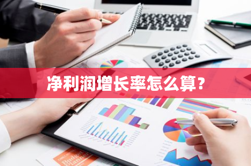 净利润增长率怎么算？