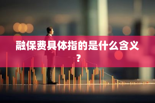融保费具体指的是什么含义？