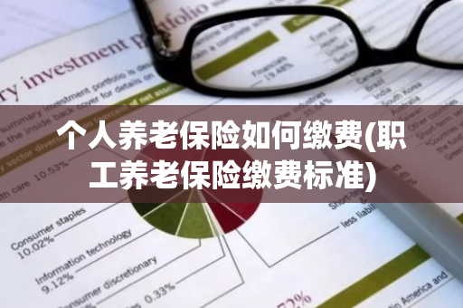 个人养老保险如何缴费(职工养老保险缴费标准)