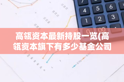 高瓴资本最新持股一览(高瓴资本旗下有多少基金公司)