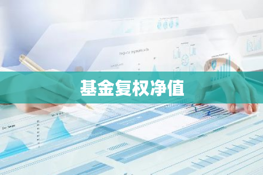 基金复权净值
