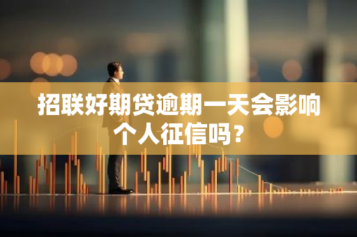 招联好期贷逾期一天会影响个人征信吗？