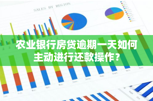 农业银行房贷逾期一天如何主动进行还款操作？