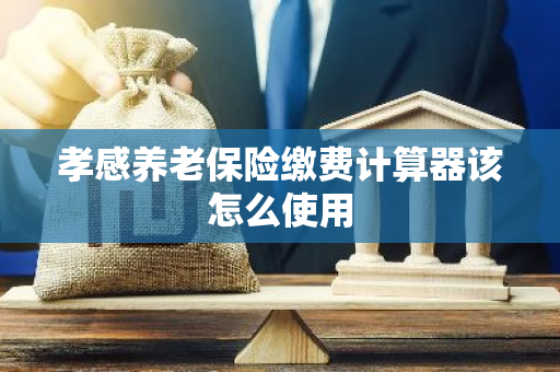 孝感养老保险缴费计算器该怎么使用