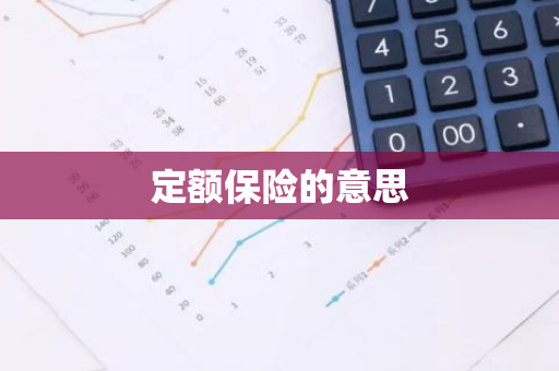定额保险的意思