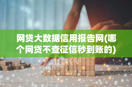 网贷大数据信用报告网(哪个网贷不查征信秒到账的)