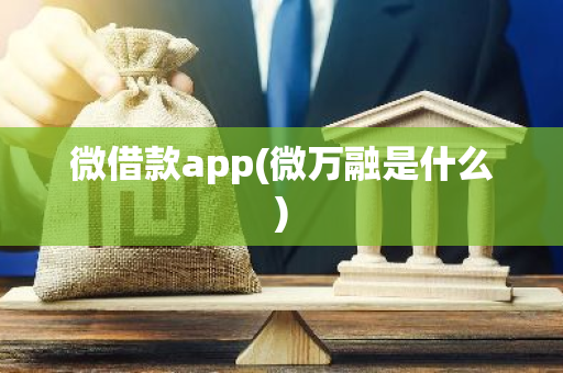 微借款app(微万融是什么)