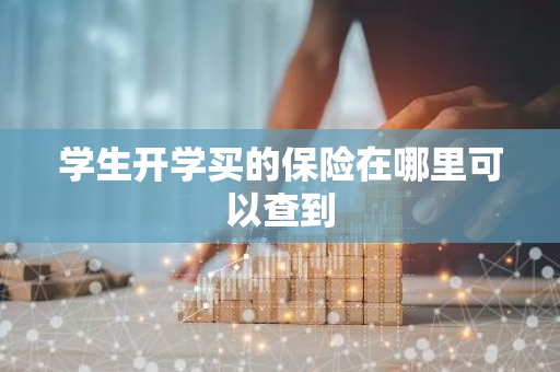 学生开学买的保险在哪里可以查到