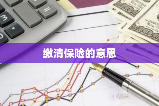 缴清保险的意思