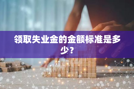领取失业金的金额标准是多少？