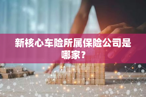 新核心车险所属保险公司是哪家？