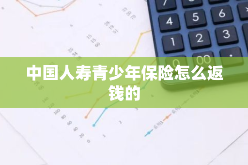 中国人寿青少年保险怎么返钱的