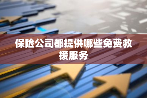 保险公司都提供哪些免费救援服务