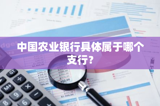中国农业银行具体属于哪个支行？