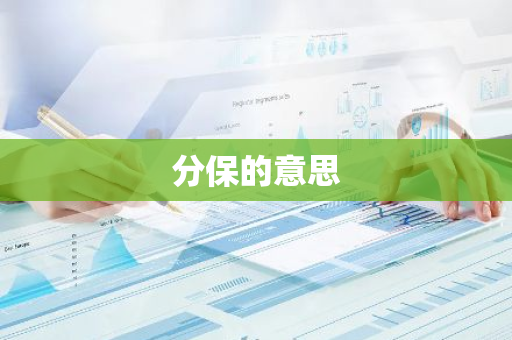 分保的意思