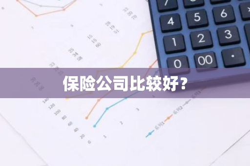 保险公司比较好？