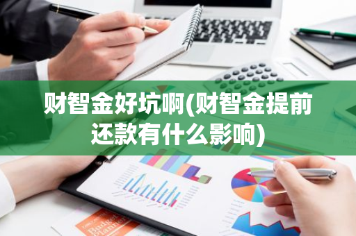 财智金好坑啊(财智金提前还款有什么影响)