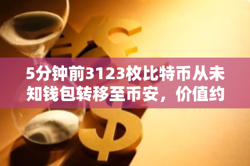 5分钟前3123枚比特币从未知钱包转移至币安，价值约1.81亿美元