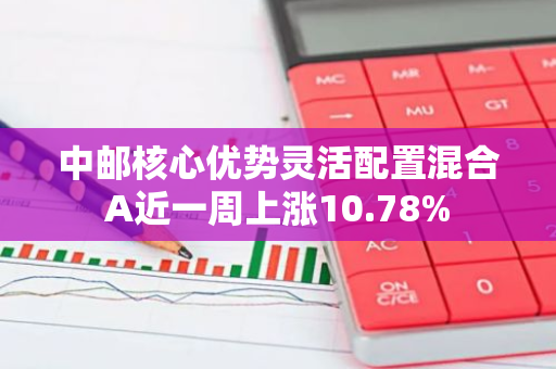 中邮核心优势灵活配置混合A近一周上涨10.78%