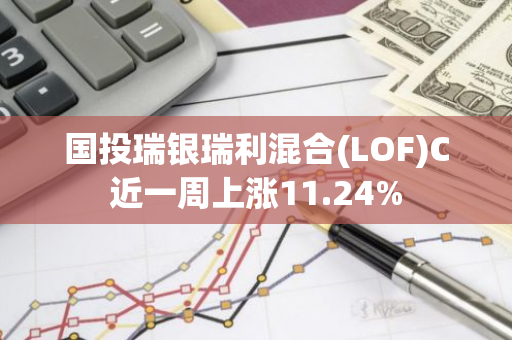 国投瑞银瑞利混合(LOF)C近一周上涨11.24%