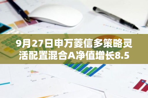 9月27日申万菱信多策略灵活配置混合A净值增长8.58%，近1个月累计上涨16.99%