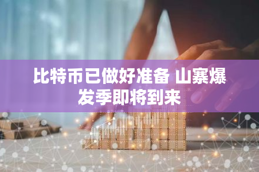 比特币已做好准备 山寨爆发季即将到来