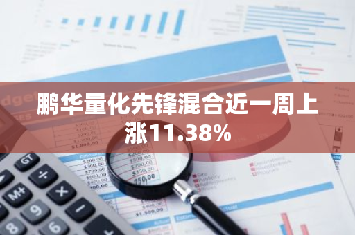 鹏华量化先锋混合近一周上涨11.38%