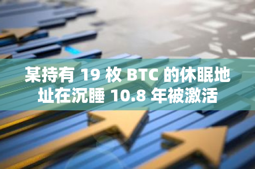 某持有 19 枚 BTC 的休眠地址在沉睡 10.8 年被激活