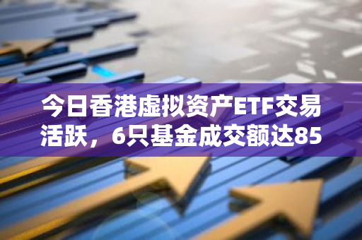 今日香港虚拟资产ETF交易活跃，6只基金成交额达852.66万港元