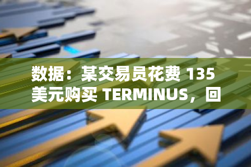 数据：某交易员花费 135 美元购买 TERMINUS，回报率高达 920 倍